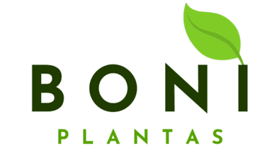logo customizável